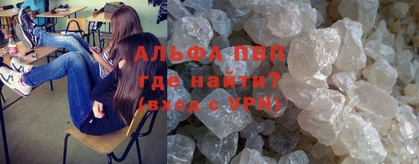 PSILOCYBIN Нефтегорск