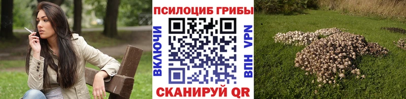 магазин Аркадак Псилоцибиновые грибы мицелий